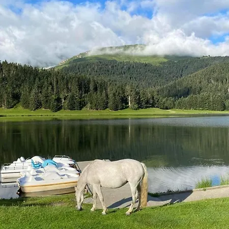 Du Montagnol A Payolle