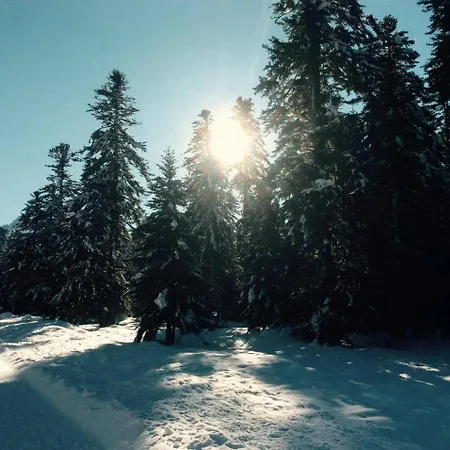 Vakantiehuis Du Montagnol A Payolle *