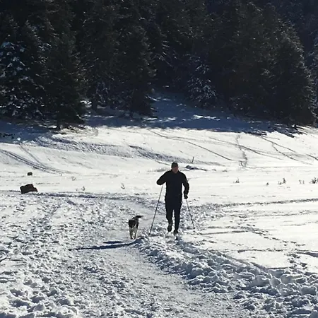 Tatil Evi Du Montagnol A Payolle