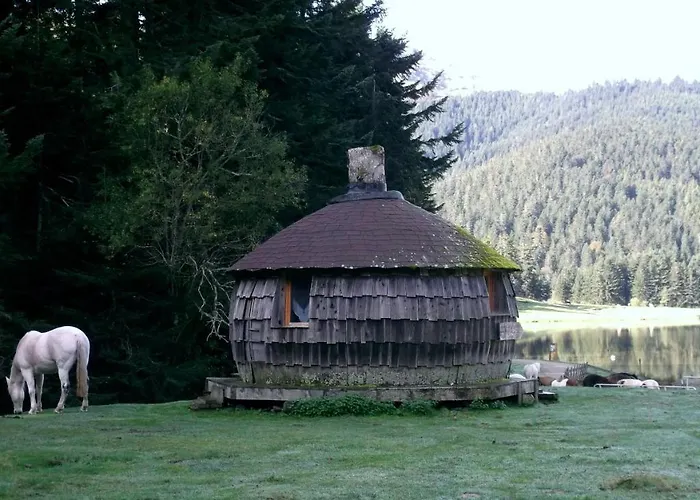 Du Montagnol A Payolle Hébergement de vacances