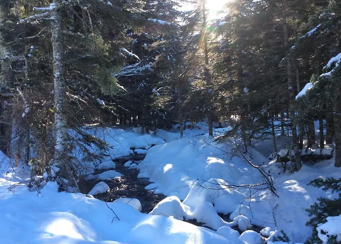 Du Montagnol A Payolle Hébergement de vacances