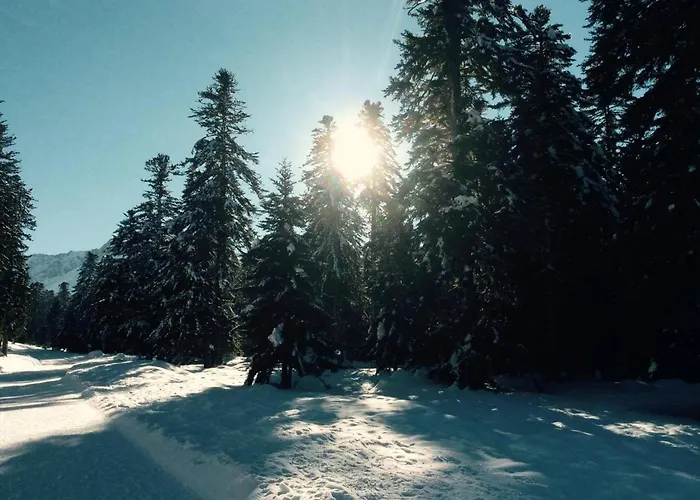 Hébergement de vacances Du Montagnol A Payolle *