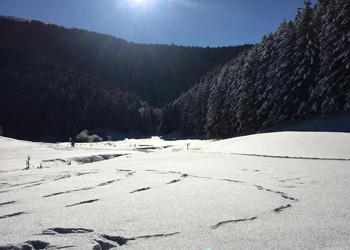 Du Montagnol A Payolle * Sainte-Marie-de-Campan