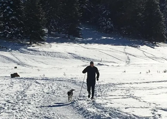 Hébergement de vacances Du Montagnol A Payolle